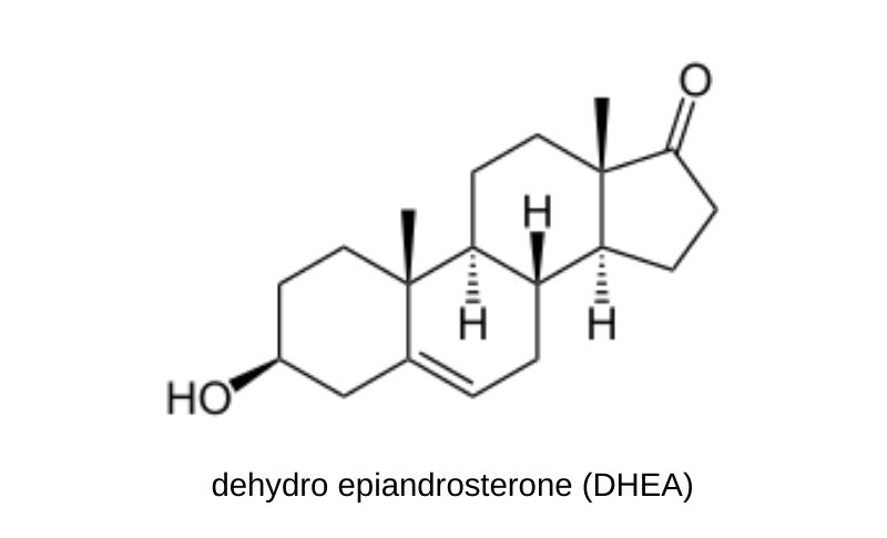 dehydro epiandrosterone (DHEA)