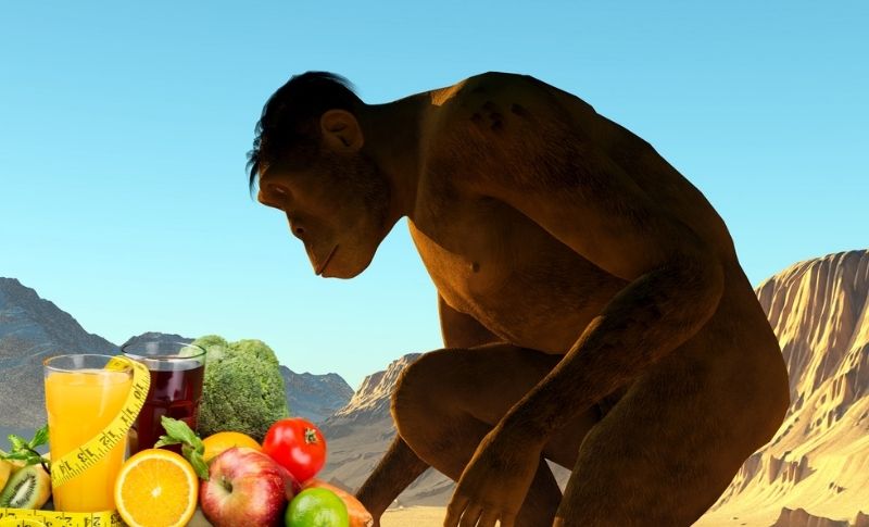 What is the Stone Age Diet, How is it Applied?