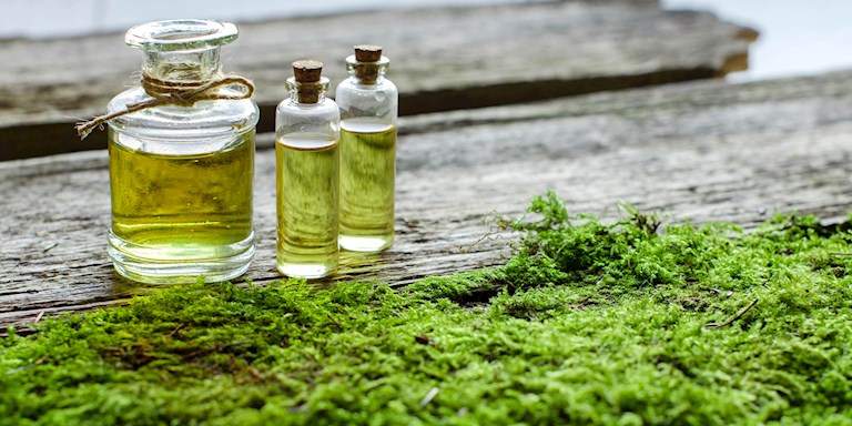 BENEFITS OF ALGAE OIL KNOWN AS THE SECRET OF BEAUTY