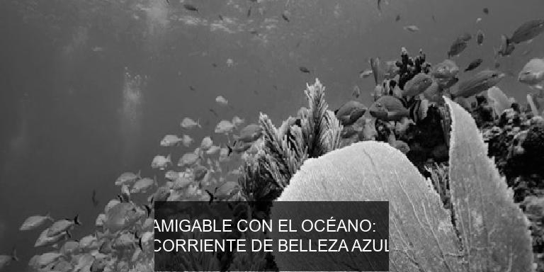 AMIGABLE CON EL OCÉANO: CORRIENTE DE BELLEZA AZUL