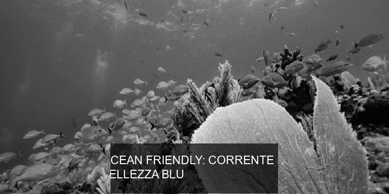 OCEAN FRIENDLY: CORRENTE DI BELLEZZA BLU